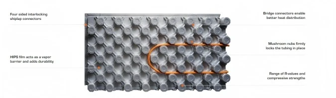 81 81