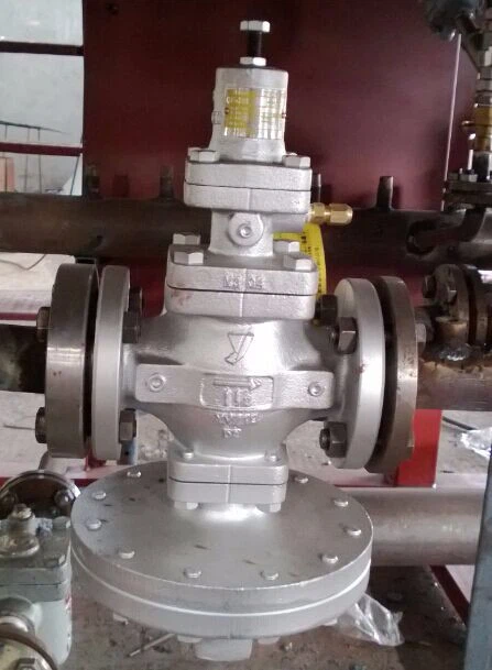 EPS Continuous Pre-expander Machine Manufacturers